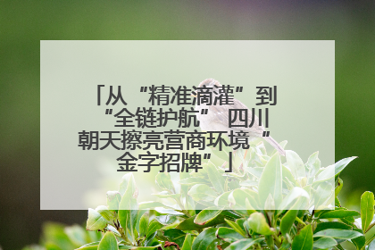 从“精准滴灌”到“全链护航” 四川朝天擦亮营商环境“金字招牌”