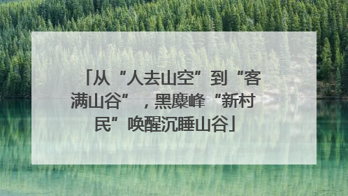 从“人去山空”到“客满山谷”，黑麋峰“新村民”唤醒沉睡山谷