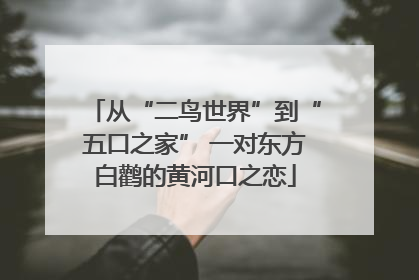 从“二鸟世界”到“五口之家” 一对东方白鹳的黄河口之恋