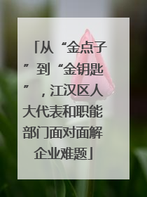 从“金点子”到“金钥匙”，江汉区人大代表和职能部门面对面解企业难题