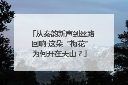 从秦韵新声到丝路回响 这朵“梅花”为何开在天山？