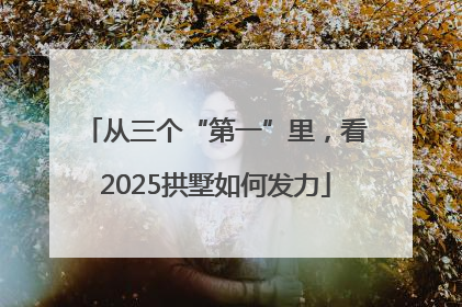 从三个“第一”里，看2025拱墅如何发力