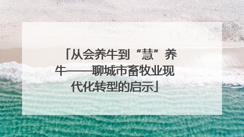 从会养牛到“慧”养牛——聊城市畜牧业现代化转型的启示