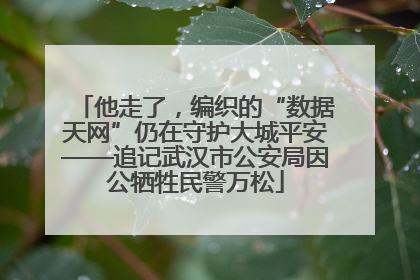 他走了，编织的“数据天网”仍在守护大城平安——追记武汉市公安局因公牺牲民警万松