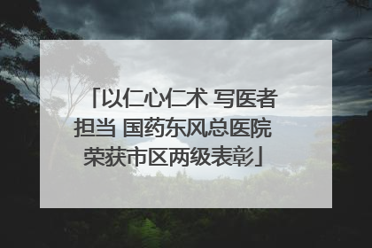 以仁心仁术 写医者担当 国药东风总医院荣获市区两级表彰