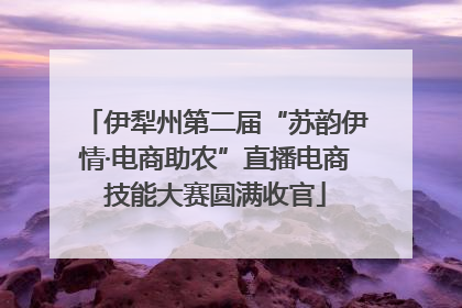 伊犁州第二届“苏韵伊情·电商助农”直播电商技能大赛圆满收官