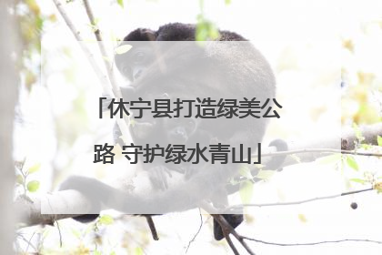 休宁县打造绿美公路 守护绿水青山
