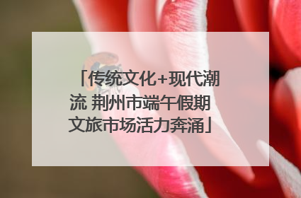 传统文化+现代潮流 荆州市端午假期文旅市场活力奔涌