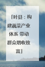 叶县：构建蔬菜产业体系 带动群众增收致富