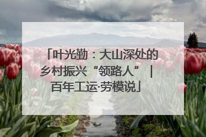 叶光勤：大山深处的乡村振兴“领路人”｜百年工运·劳模说