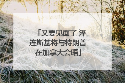 又要见面了 泽连斯基将与特朗普在加拿大会晤