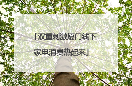 双重刺激厦门线下家电消费热起来