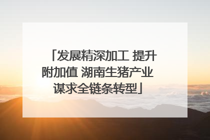 发展精深加工 提升附加值 湖南生猪产业谋求全链条转型