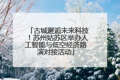 古城邂逅未来科技！苏州姑苏区举办人工智能与低空经济路演对接活动
