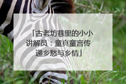 古老坊巷里的小小讲解员：童真童言传递乡愁与乡情