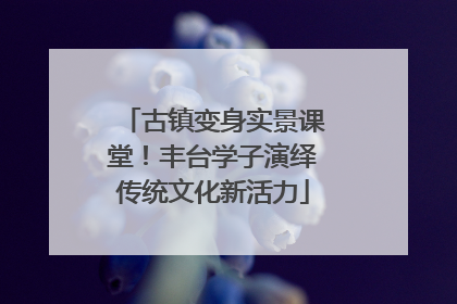 古镇变身实景课堂！丰台学子演绎传统文化新活力