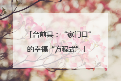 台前县：“家门口”的幸福“方程式”