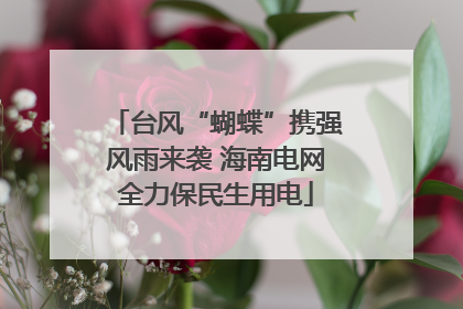 台风“蝴蝶”携强风雨来袭 海南电网全力保民生用电