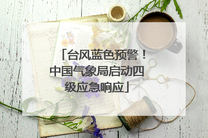 台风蓝色预警！中国气象局启动四级应急响应