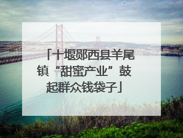 十堰郧西县羊尾镇“甜蜜产业”鼓起群众钱袋子