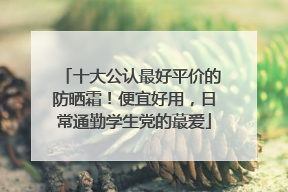 十大公认最好平价的防晒霜！便宜好用，日常通勤学生党的蕞爱