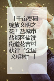 千亩葵园绽放文明之花！盐城市盐都区盐渎街道花吉村获评“全国文明村”