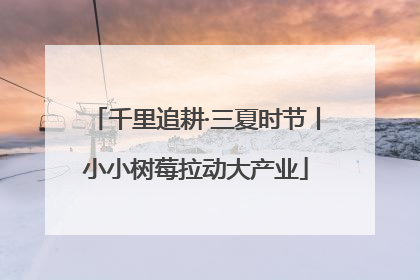千里追耕·三夏时节丨小小树莓拉动大产业