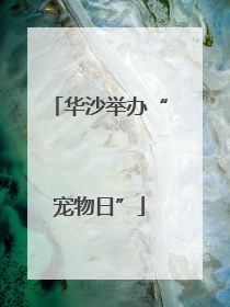 华沙举办“宠物日”