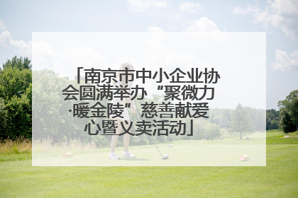 南京市中小企业协会圆满举办“聚微力·暖金陵”慈善献爱心暨义卖活动