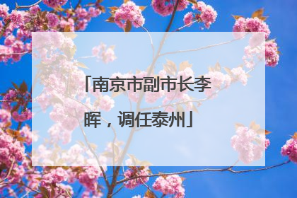 南京市副市长李晖，调任泰州