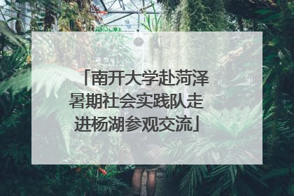 南开大学赴菏泽暑期社会实践队走进杨湖参观交流