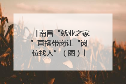 南昌“就业之家”直播带岗让“岗位找人”（图）