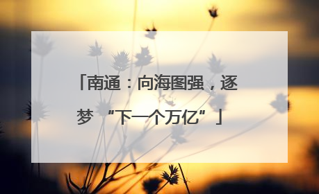 南通：向海图强，逐梦 “下一个万亿”