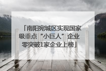 南阳宛城区实现国家级重点“小巨人”企业零突破1家企业上榜