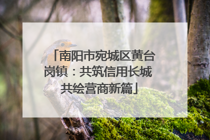 南阳市宛城区黄台岗镇：共筑信用长城 共绘营商新篇