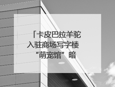 卡皮巴拉羊驼入驻商场写字楼 “萌宠馆”暗藏哪些隐患？