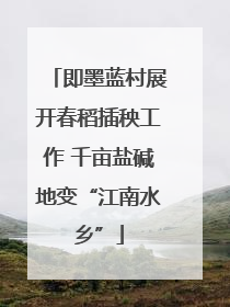 即墨蓝村展开春稻插秧工作 千亩盐碱地变“江南水乡”