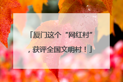 厦门这个“网红村”，获评全国文明村！