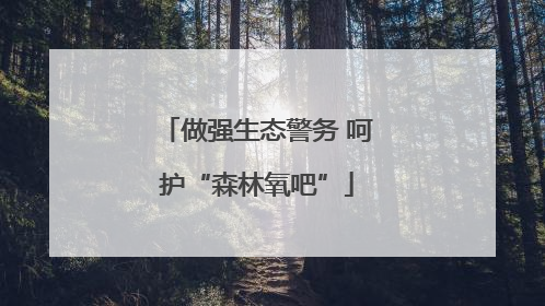 做强生态警务 呵护“森林氧吧”