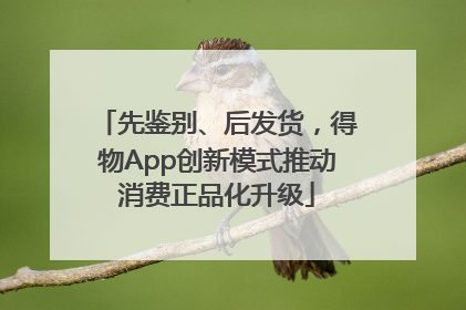 先鉴别、后发货，得物App创新模式推动消费正品化升级