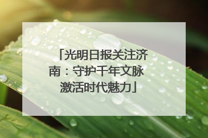 光明日报关注济南：守护千年文脉 激活时代魅力