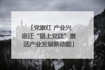 党旗红 产业兴 宿迁“链上党建”激活产业发展新动能