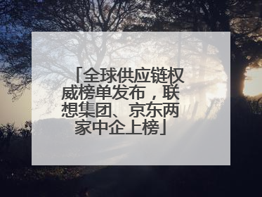 全球供应链权威榜单发布，联想集团、京东两家中企上榜