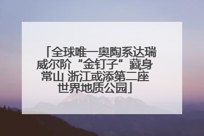 全球唯一奥陶系达瑞威尔阶“金钉子”藏身常山 浙江或添第二座世界地质公园