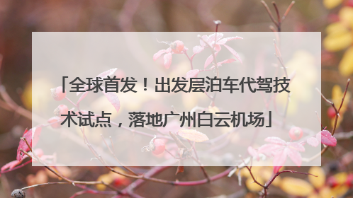 全球首发！出发层泊车代驾技术试点，落地广州白云机场