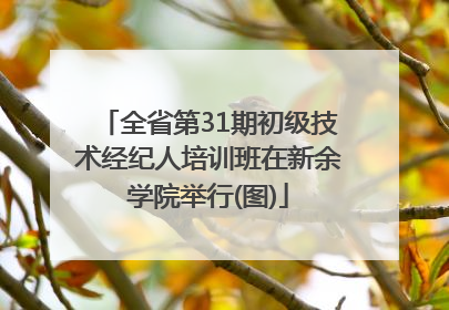 全省第31期初级技术经纪人培训班在新余学院举行(图)