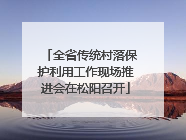 全省传统村落保护利用工作现场推进会在松阳召开