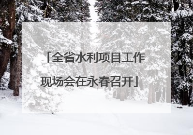 全省水利项目工作现场会在永春召开
