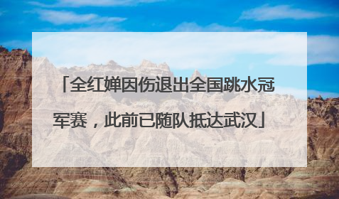全红婵因伤退出全国跳水冠军赛，此前已随队抵达武汉
