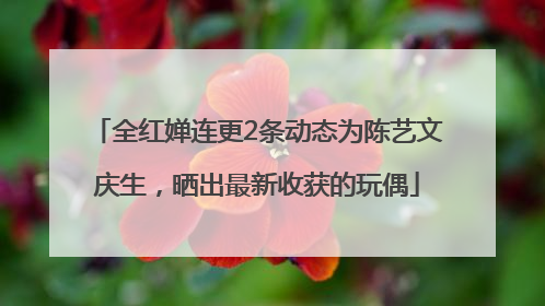 全红婵连更2条动态为陈艺文庆生，晒出最新收获的玩偶